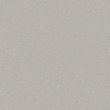 Casalgrande Padana, Architecture - Cool Grey, Naturale, 30x30cm, 9.40mm, Rett.
