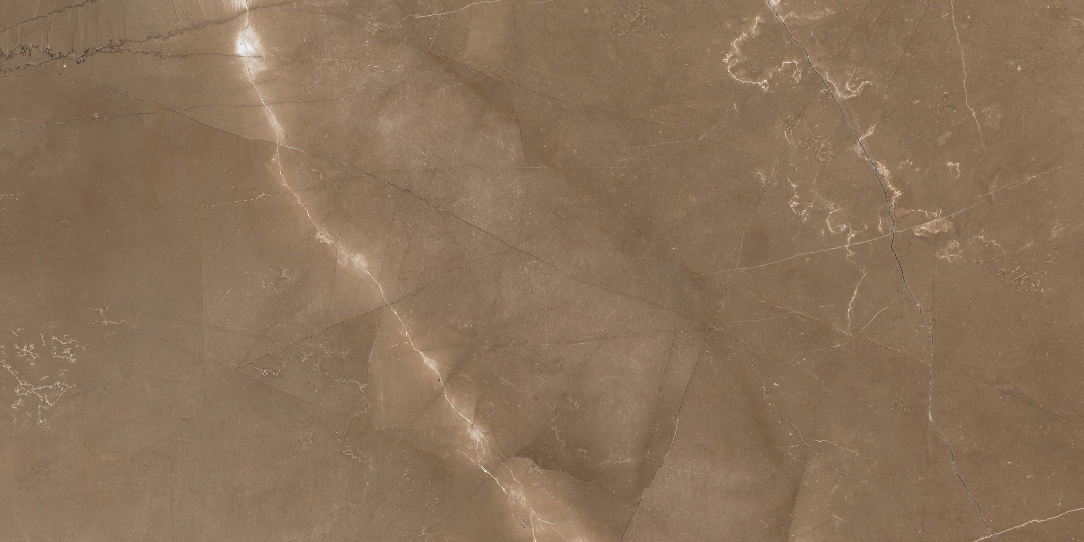 Cerdomus, Pulpis - 65420 - Puro, Matt, 30x60cm, 9.50mm, Rett.
