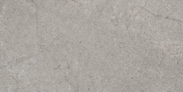 Evoluzioni Ceramiche, Stone Mix - STM002 - Piombo, Naturale, 31x62cm, 9.00mm, Rett.