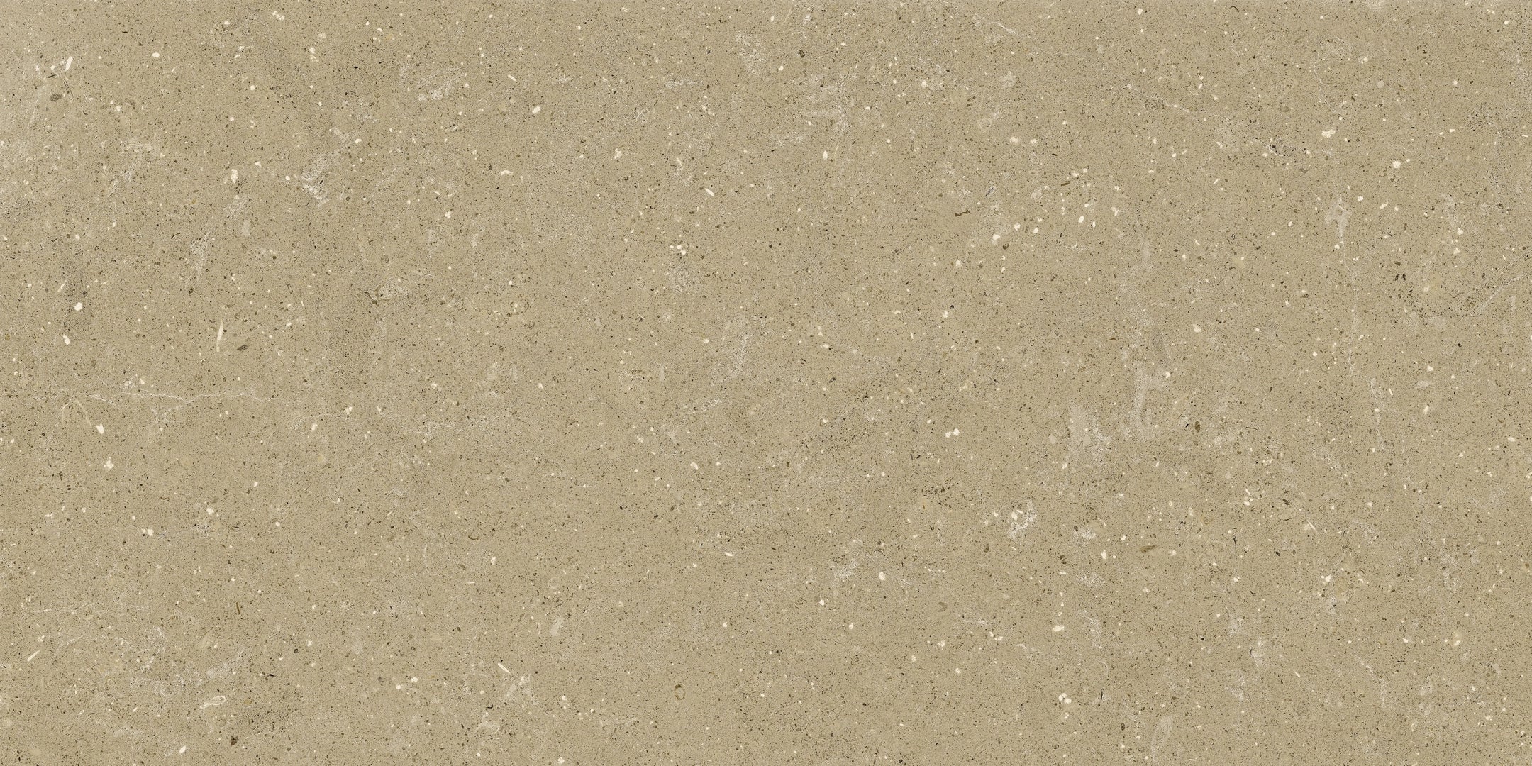 Del Conca, Wild - G8WD01GRIR - Beige, Grip, 30x60cm, 8.50mm, Rett.