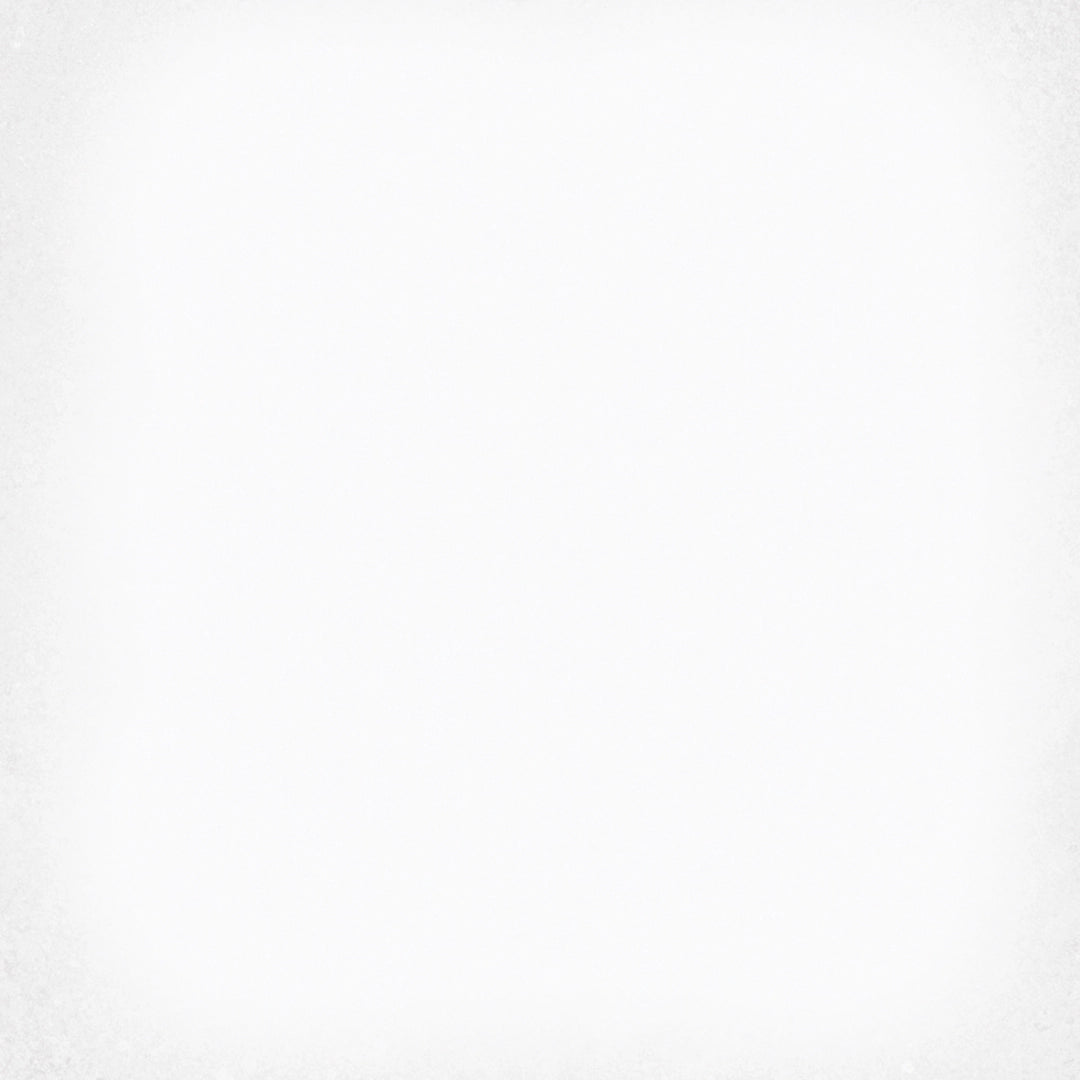 Vives Ceramica, 1900 - Blanco, Mate, 20x20cm, 8.00mm