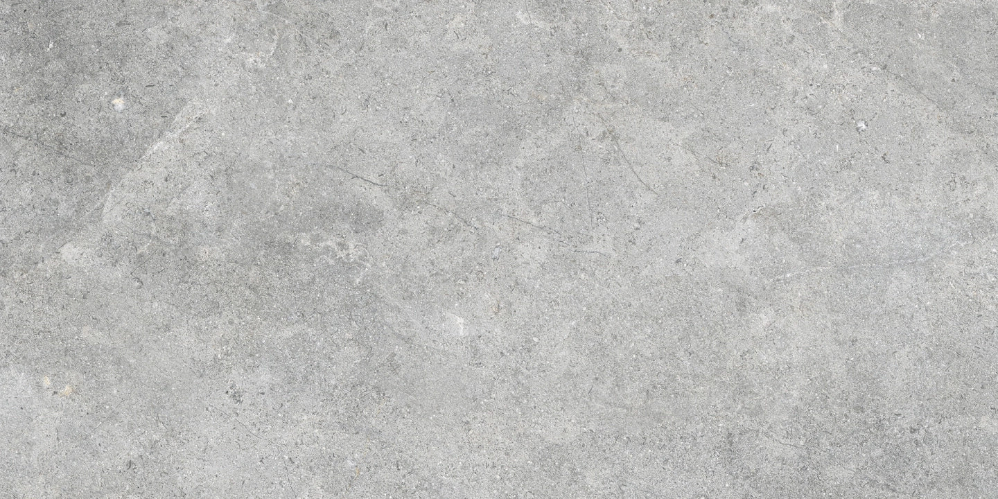 Ragno, Richmond - RALT - Silver, C2 , 60x120cm, 8.50mm, Rett.