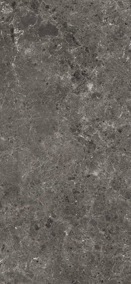 Grespania, Artic - 78RC67P - Antracita, Matt, 120x260cm, 5.60mm, Rett.