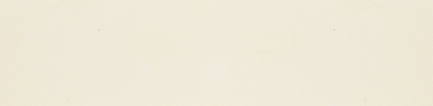 Cevica, Manhattan - LB25 - Bone, Mate, 6.3x25.5cm, 8.00mm
