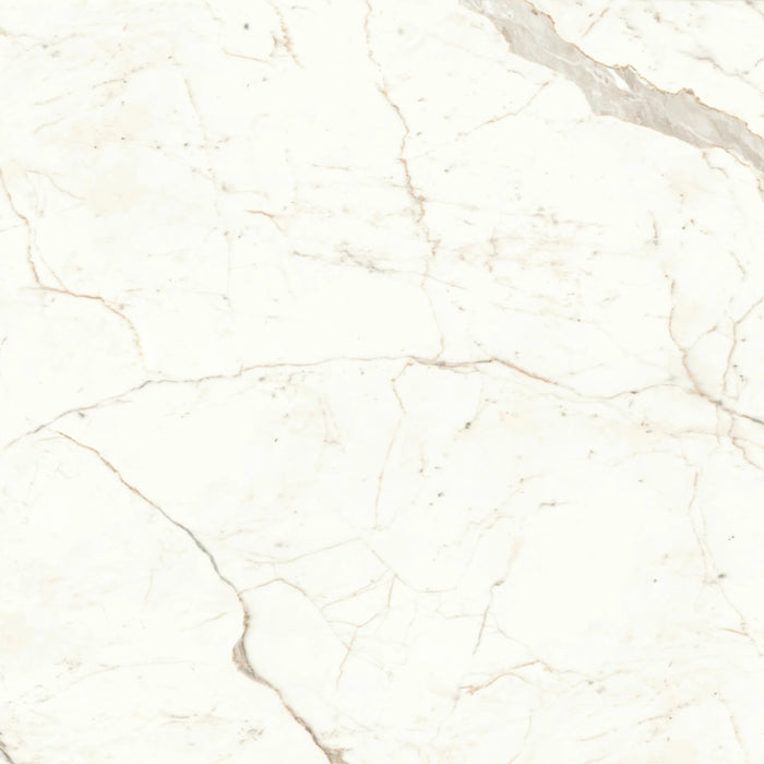 Atlas Concorde, Marvel Shine - A4RP - Calacatta Prestigio, Lappato, 160x160cm, 6.00mm, Rett.