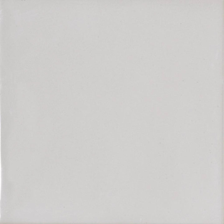 La Fenice Ceramiche, Cromie - Grigio, Glossy, 20x20cm, 10.00mm