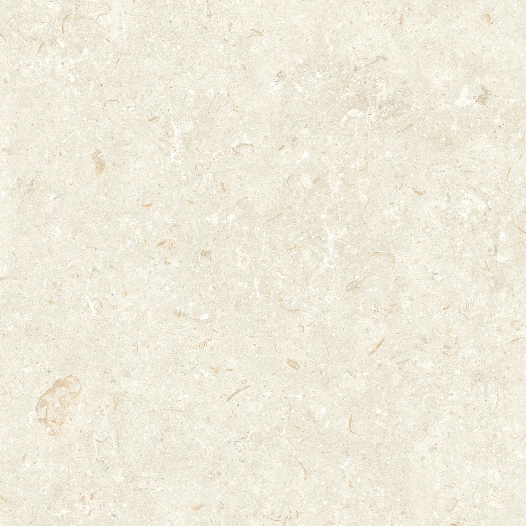 Grespania, Fosil - 81F236R - Bone, Matt, 80x80cm, 10.00mm, Rett.