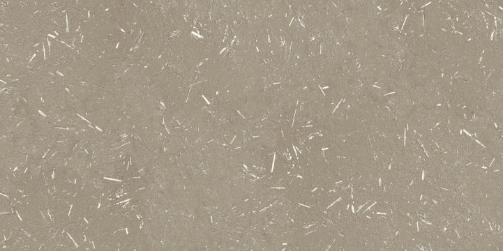 Apavisa, Barro - Brown, Naturale, 49.75x99.55cm, 10.00mm, Rett.