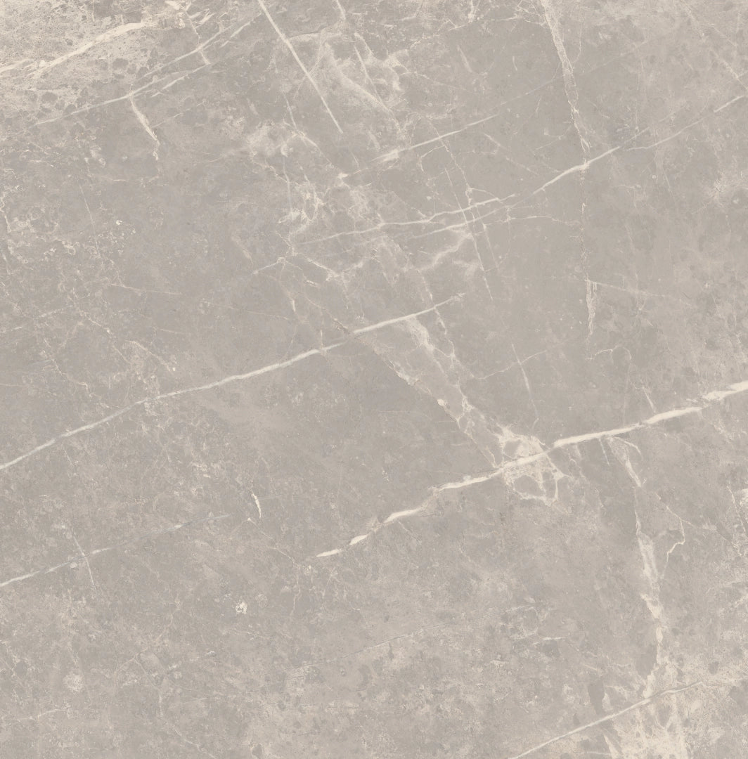 Florim, Elemental Stone - 766956---Grey-Dolomia,-Lucido,-60x60cm,-9.00mm,-Rett.