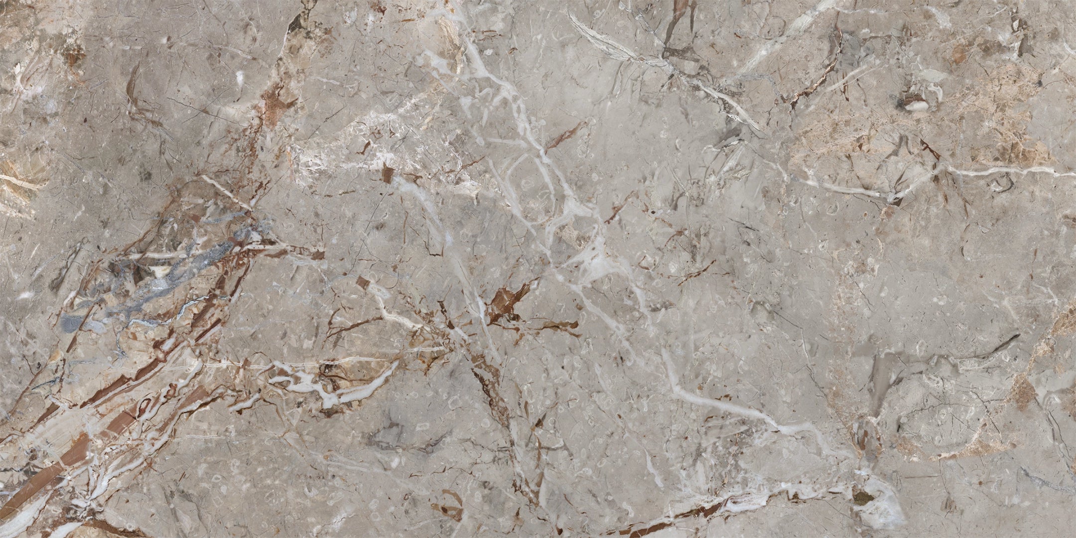 La Fabbrica Ava, Breccia Argentum - 163101 - Breccia Argentum, Lappato, 60x120cm, 8.80mm, Rett.