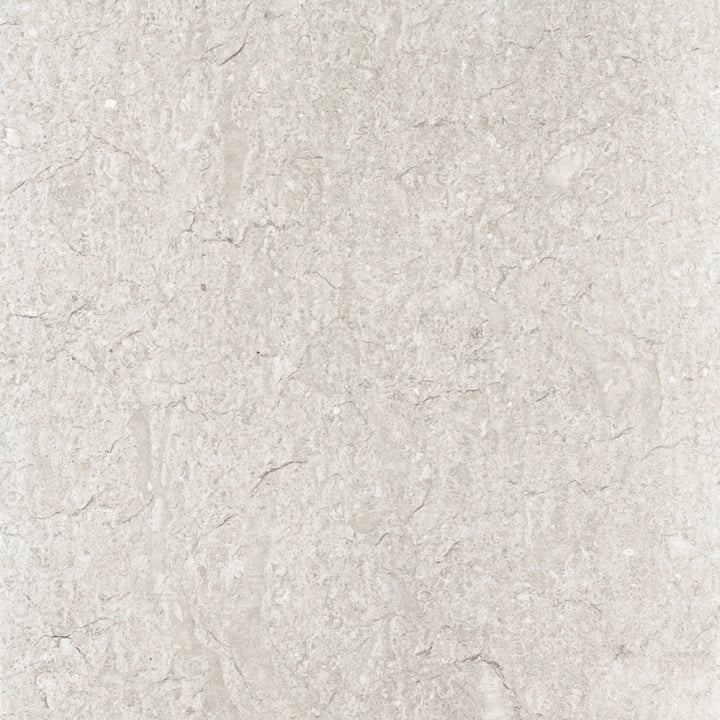 Alaplana Ceramica, Maryland - PP0703 - Gris, Naturale, 60x60cm, 10.00mm
