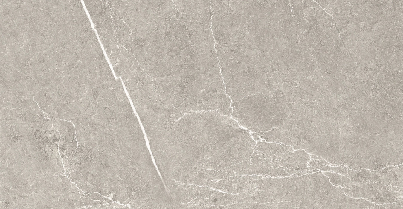 Halcon Ceramicas, Nival - HAP220 - Gris, Satinado, 60x120cm, 10.00mm, Rett.