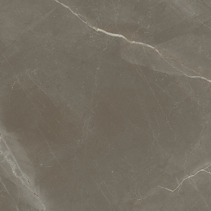 PorcelaniteDos, Venecia - 1804 - Gris, Polished, 98x98cm, 10.00mm, Rett.