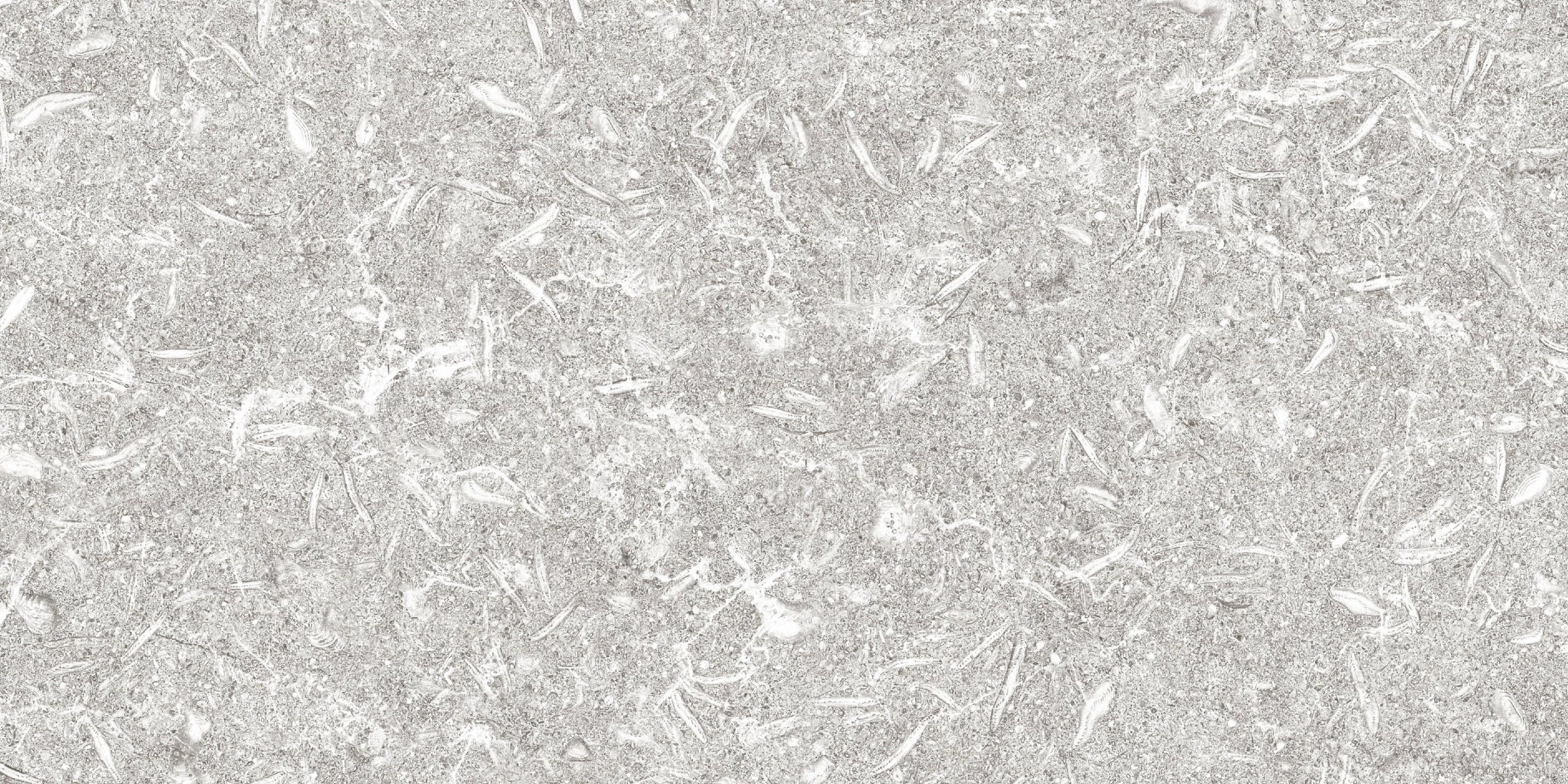 Apavisa, Track - Grey, Naturale, 49.75x99.55cm, 10.00mm, Rett.