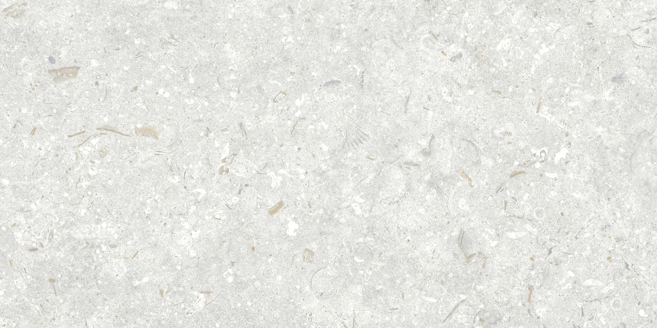 Grespania, Fosil - 46F242R - Perla, Matt, 30x60cm, 10.00mm, Rett.