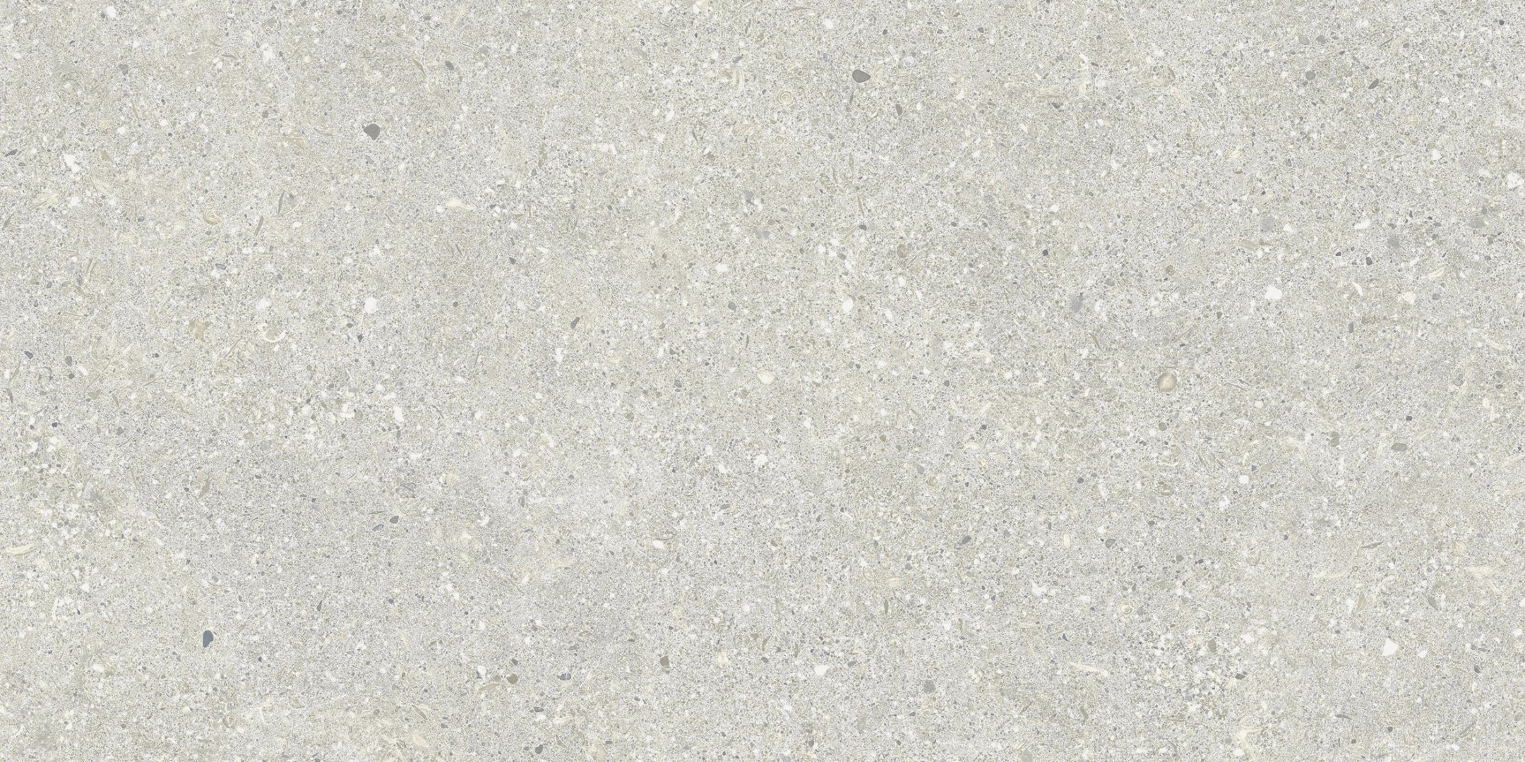 Baldocer, Brunswich - P6012L - Ceniza, naturale, 60x120cm, 10.00mm