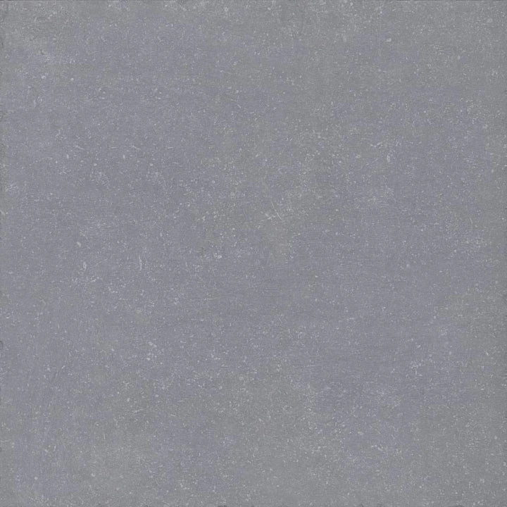 La Fenice Ceramiche, Bluestone - Grigio, Matt, 61.5x61.5cm, 10.00mm