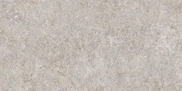 Evoluzioni Ceramiche, Aspen - EE1289 - Grigio, Naturale, 31x62cm, 9.00mm, Rett.