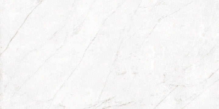 Ceramiche Campogalliano, Centuries - Pisa, Antique, 30x60cm, 10.00mm