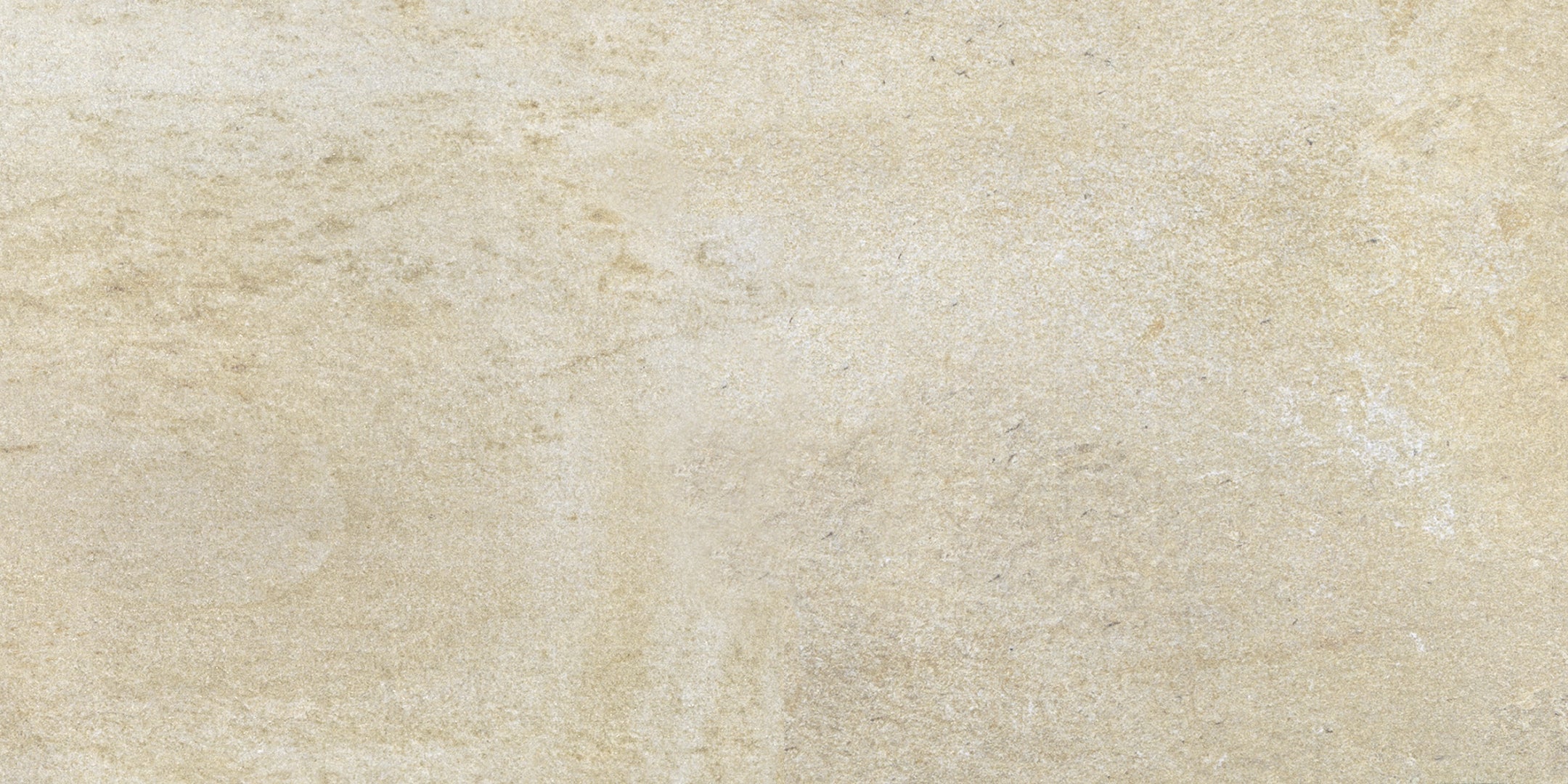 Antica Ceramica Rubiera, Fossili - Grigio, Naturale, 31x62cm, 9.00mm