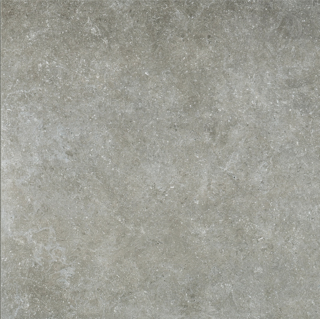 Florim, Pietre/3 - 748374---Limestone-Ash,-Matte,-60x60cm,-9.00mm,-Rett.