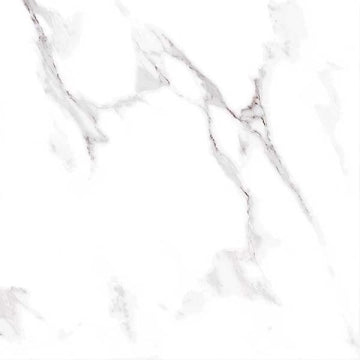 Ecoceramic, Albufera - TB0240---Albufera,-Brillo,-60x60cm,-8.50mm,-Rett.