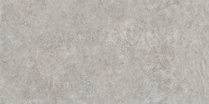 Antica Ceramica Rubiera, Aspen - Grigio, Outdoor, 31x62cm, 9.00mm, Rett.