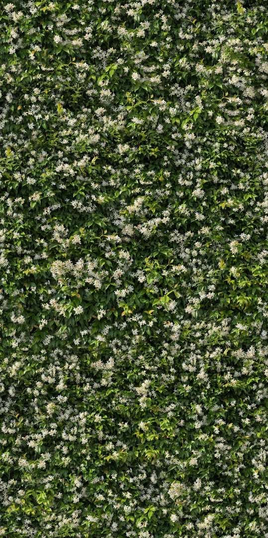 Casalgrande Padana, Limpha - Gelsomino, Naturale, 120x240cm, 6.00mm, Rett.