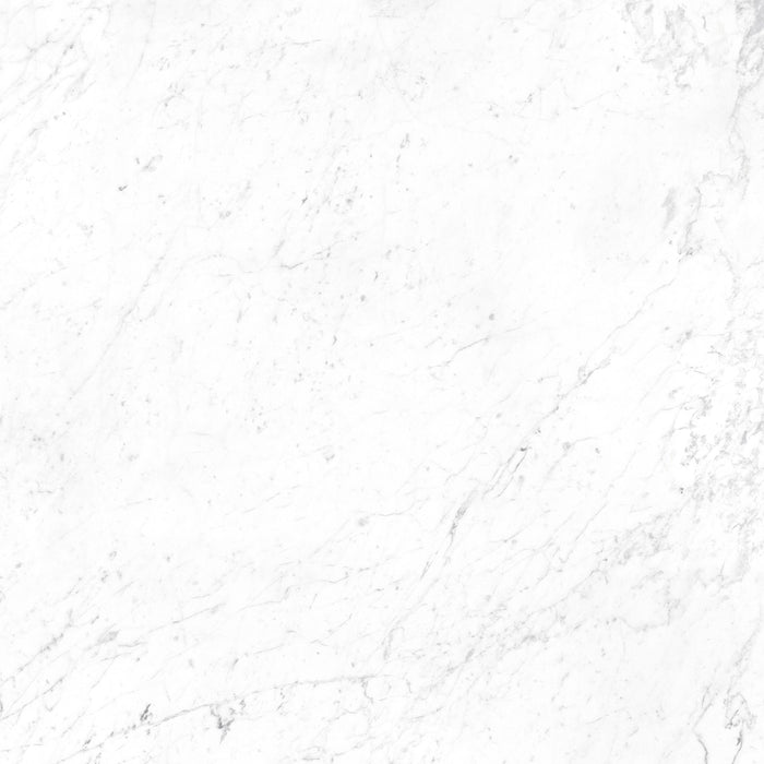 Ceramiche Campogalliano, I Marmi - Carrara, Levigato, 59.5x59.5cm, 8.50mm, Rett.