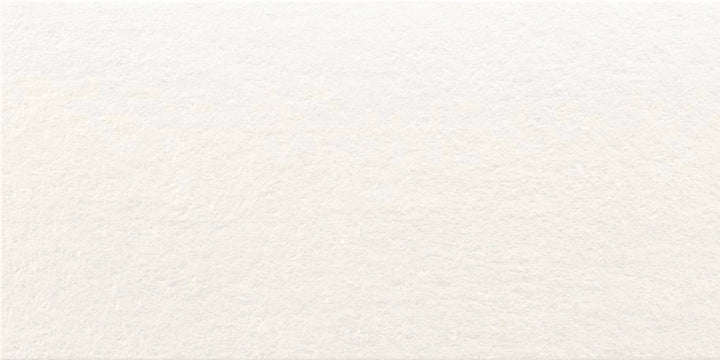 Baldocer, Ozone - WB3060L - Snow, naturale, 30x60cm, 10.00mm