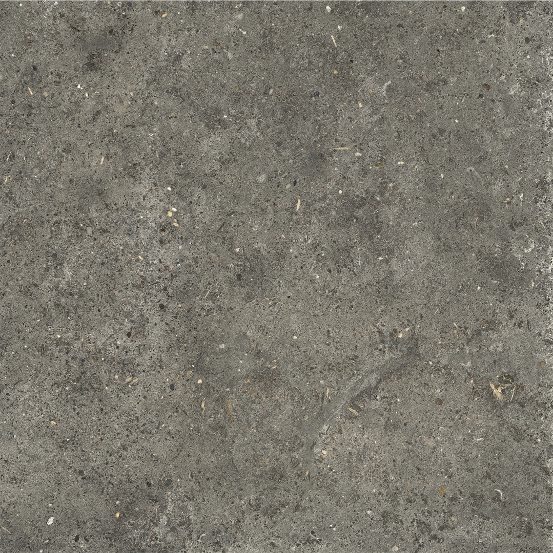 La Fabbrica Ava, Agglomerate - 160014 - Tahiti, Naturale, 60x60cm, 8.80mm, Rett.