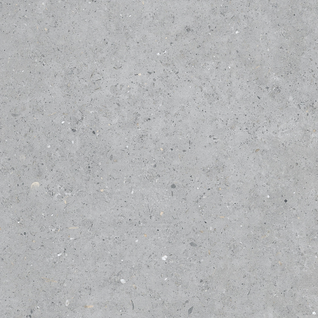 Pastorelli Ceramiche, Biophilic - P009455 - Bi Grey, Naturale, 60x60cm, 20.00mm