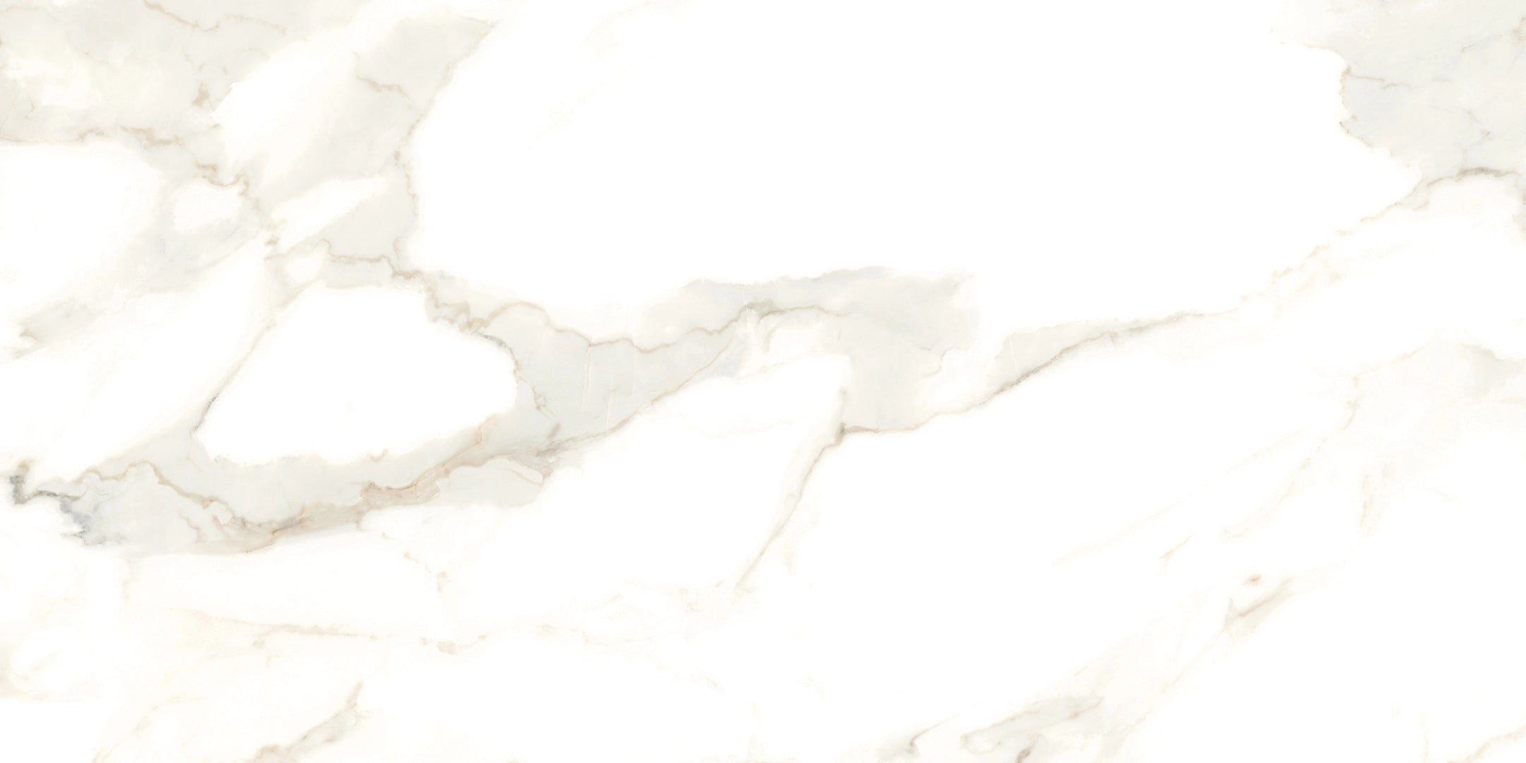 Cerdomus, Calacatta - 64989 - Puro, Matt, 60x120cm, 9.50mm, Rett.