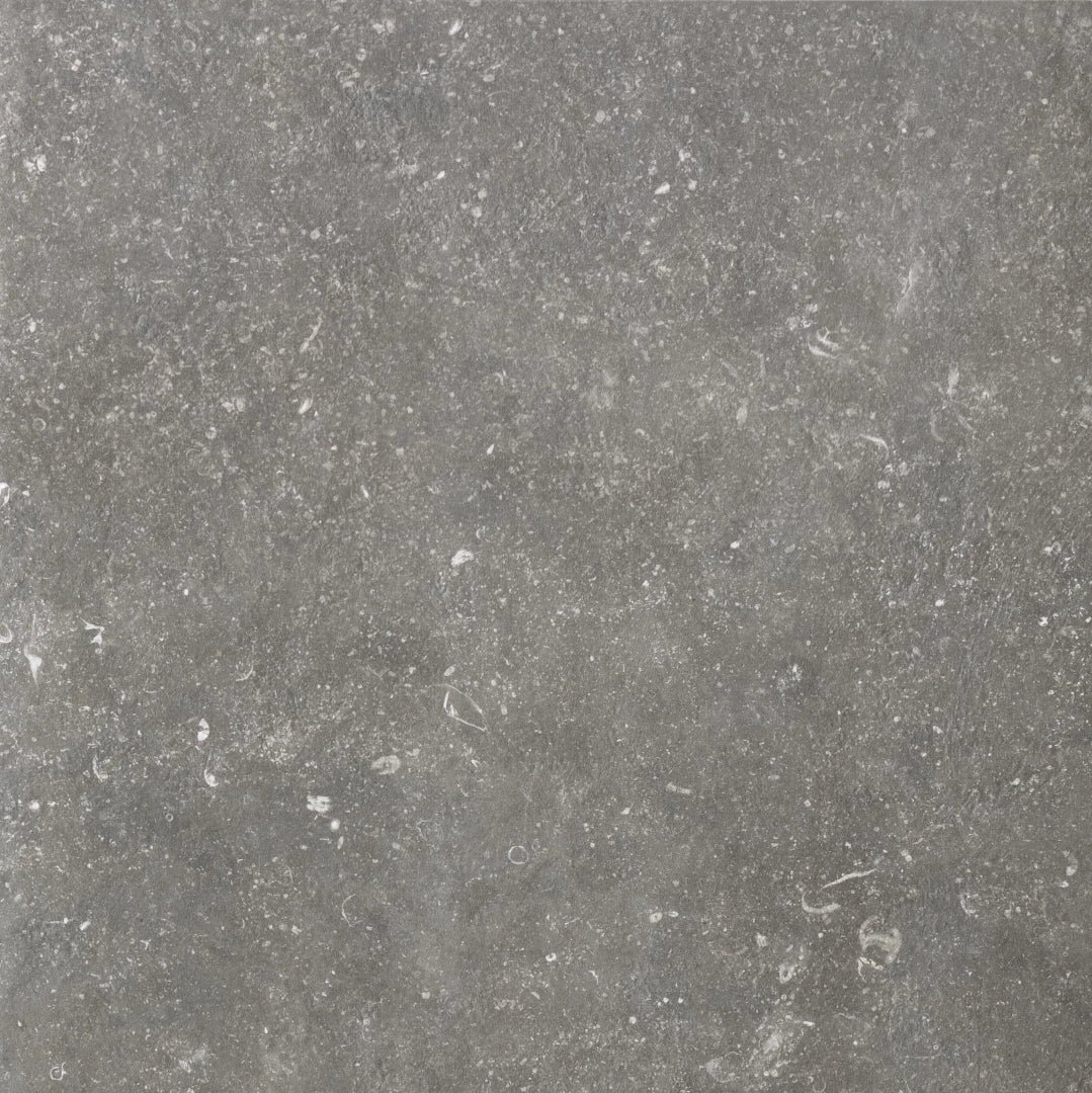 Florim, Atmospheres - 773358---Charme,-Sablè,-60x60cm,-9.00mm,-Rett.