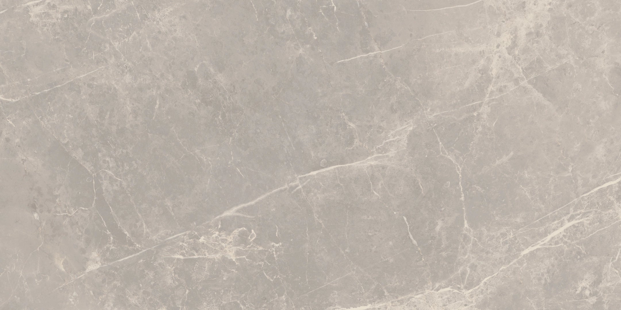Florim, Elemental Stone - 766630---Grey-Dolomia,-Lucido,-30x60cm,-9.00mm,-Rett.