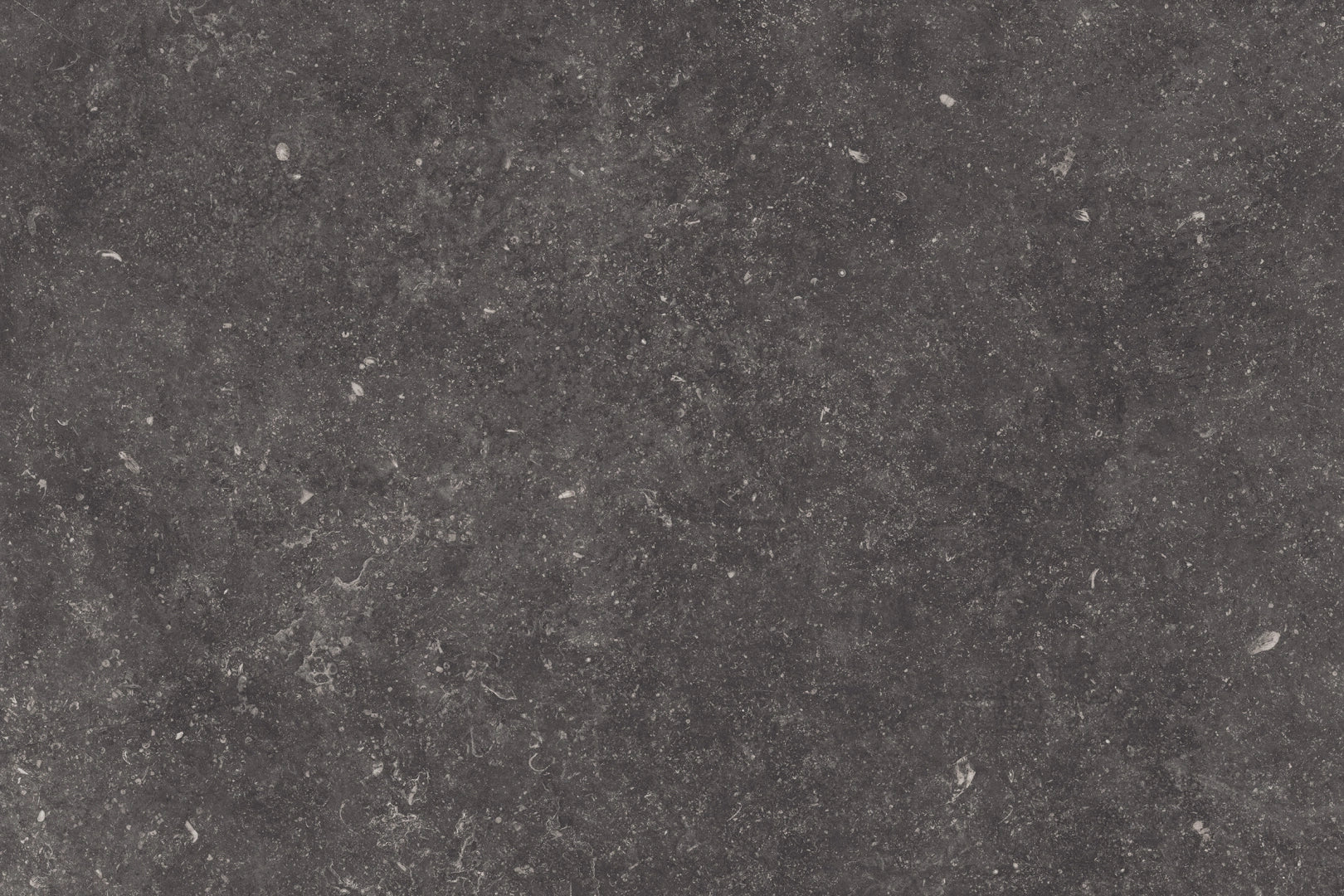 Tagina, Namur - Foncè, Naturale, 60x90cm, 10.00mm, Rett.