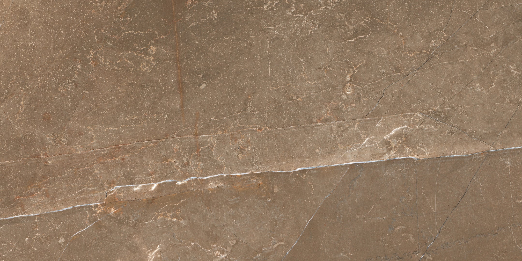 Cerdomus, Pulpis - 72900 - Puro, Levigato, 30x60cm, 9.50mm, Rett.
