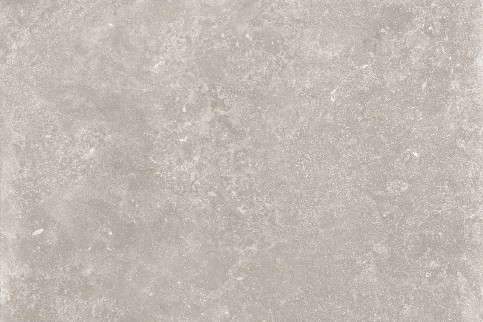 Tagina, Namur - Cendre, Naturale, 60x90cm, 20.00mm, Rett.