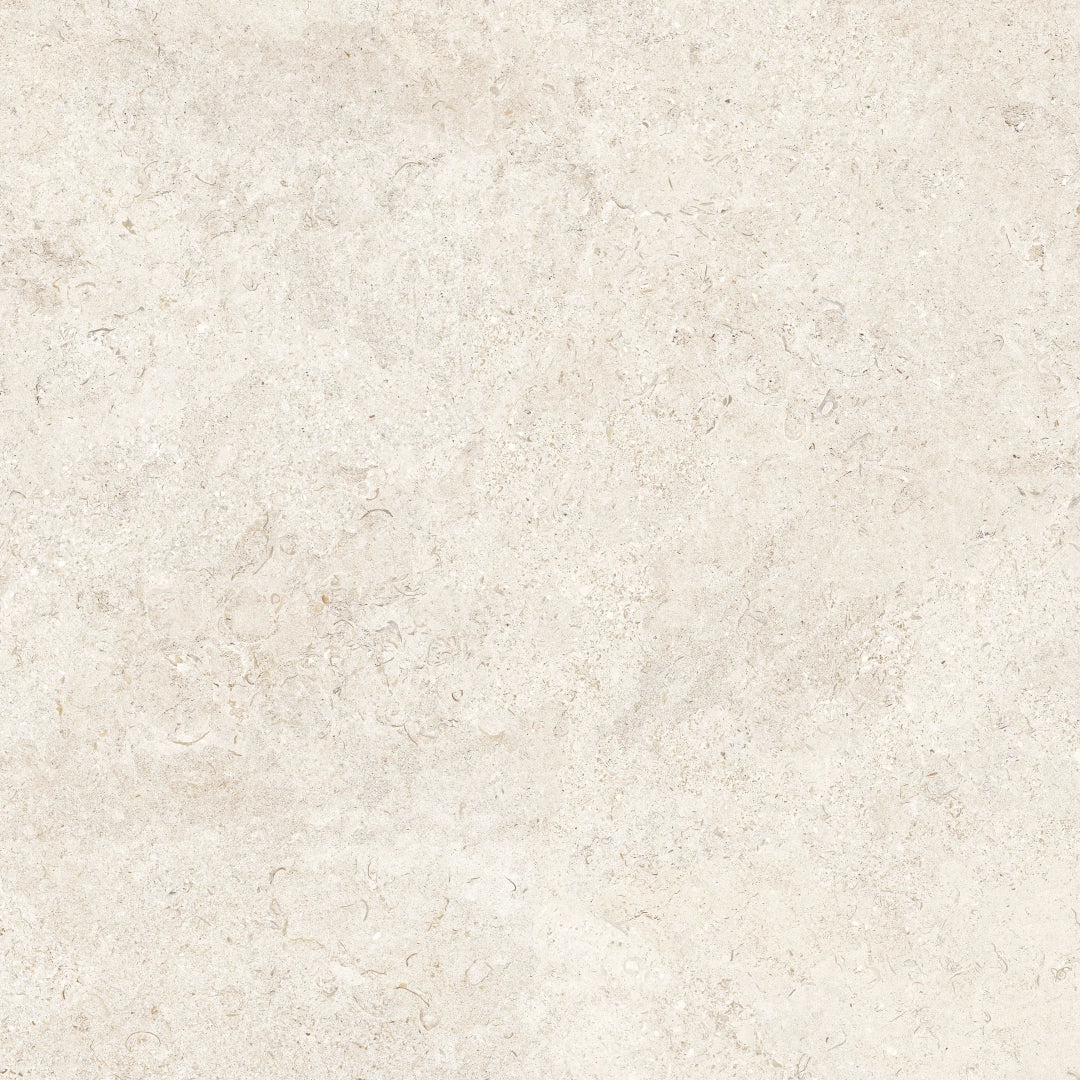 Crz64, Coquina - Limestone Off-white, Lux, 80x80cm, 10.00mm, Rett.