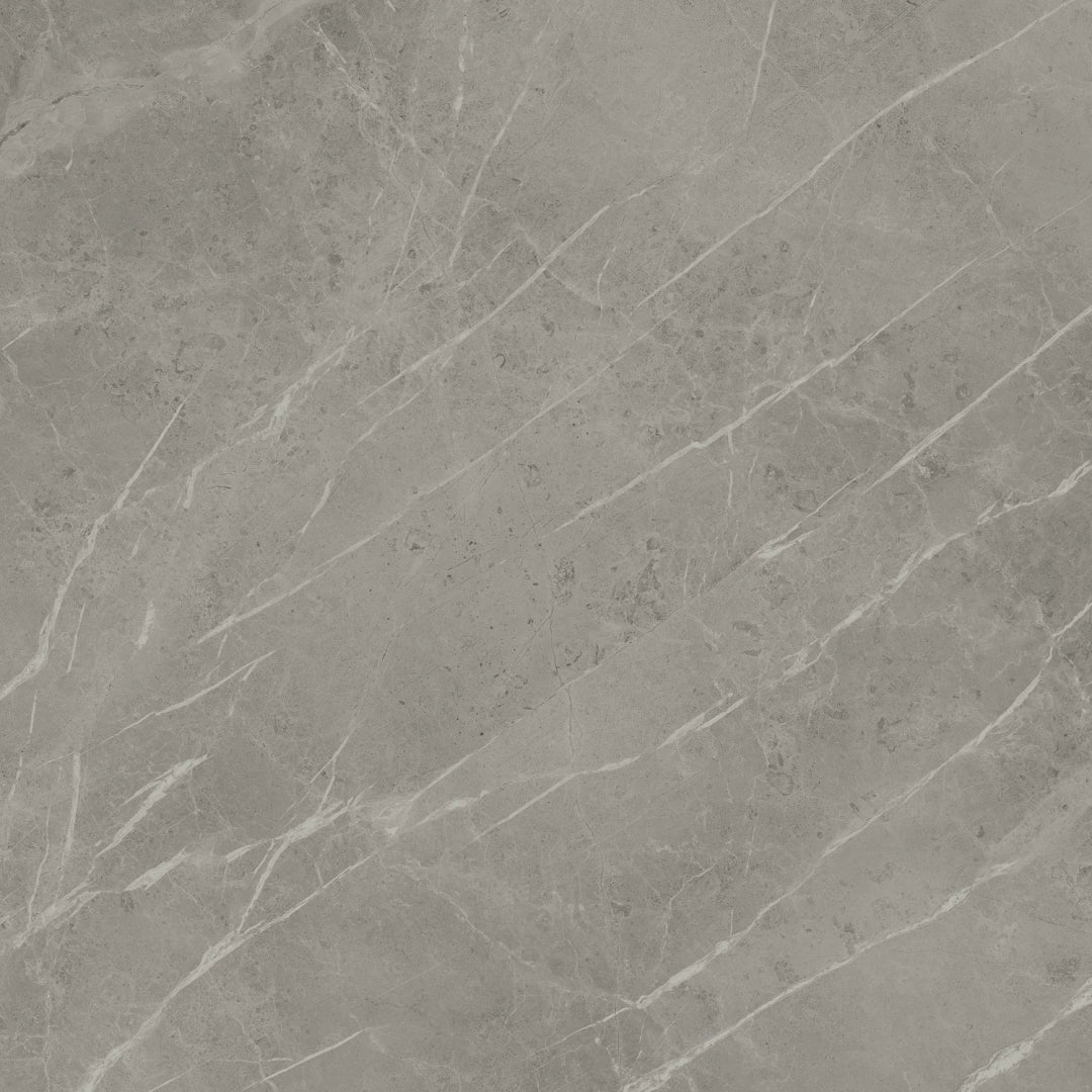 Atlas Concorde, Marvel Pro - A2Ø5 - Grey Fleury, Matt, 120x120cm, 9.00mm, Rett.