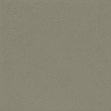 Ceramica Bardelli, Pittorica - Pittorica 6/m, Naturale, 25x25cm, 10.00mm