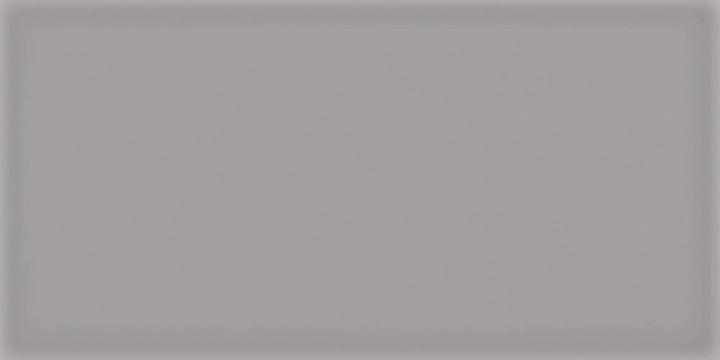 Vives Ceramica, Corso - Gris, Naturale, 10x20cm, 7.50mm, Rett.