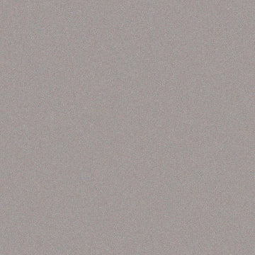 Casalgrande Padana, Architecture - Light Grey, Naturale, 30x30cm, 9.40mm, Rett.