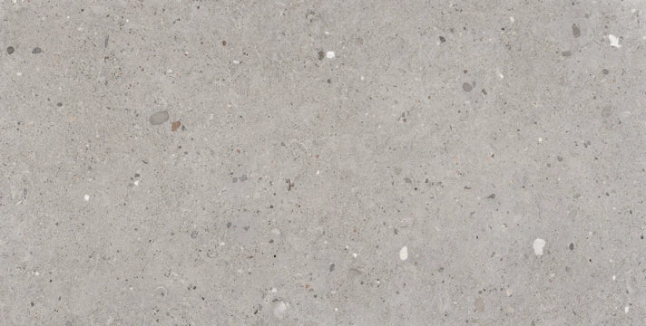 Provenza Ceramiche, Ego - EGP1 - Grigio, Naturale, 60x120cm, 9.50mm, Rett.