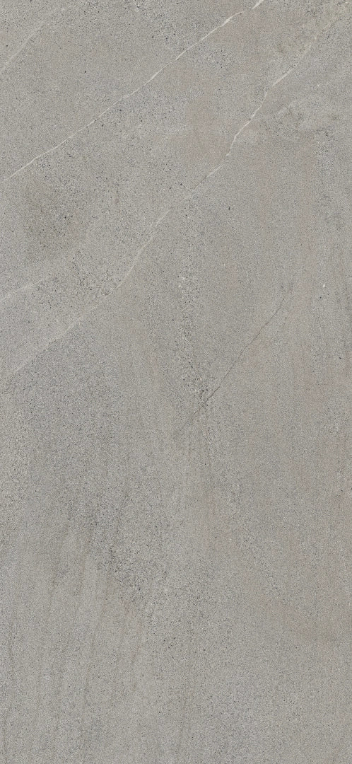 Lea Ceramiche, Nextone - LS6NX10 - Next Gray, Naturale, 120x260cm, 6.00mm, Rett.