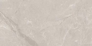 Emotion Ceramics, Sary - Gris, Pulido, 60x120cm, 10.00mm, Rett.