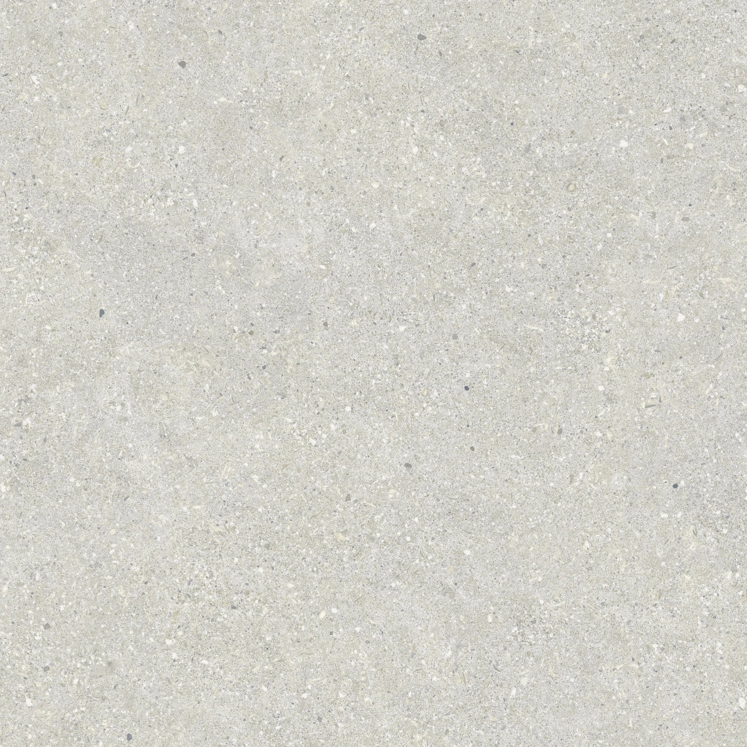 Baldocer, Brunswich - P6012ES - Ceniza, anti-slip, 60x60cm, 20.00mm