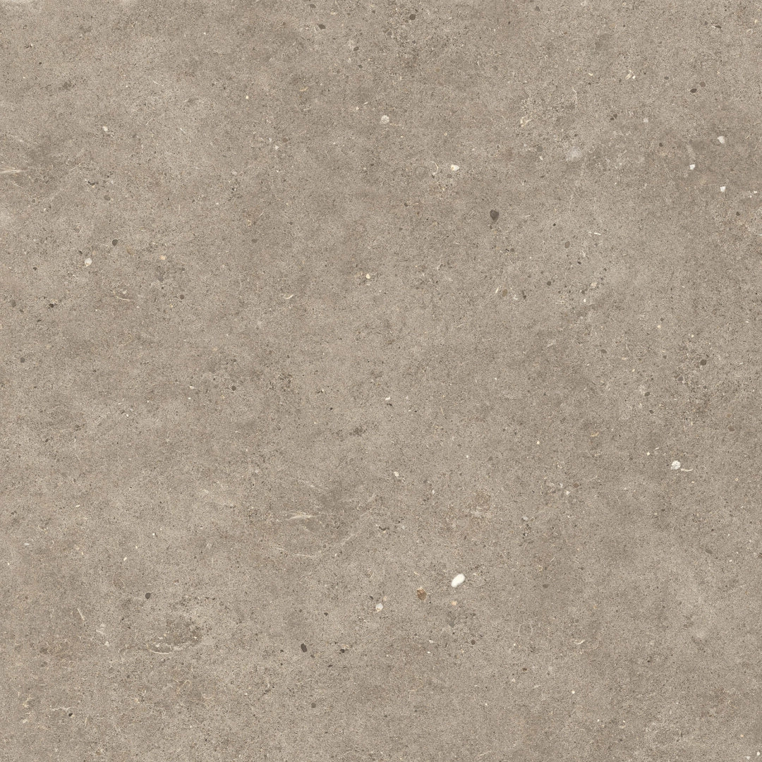 Italgraniti, Silver Grain + Ceppo Di Gré - SI0468A - Silver Grain Taupe, Antislip, 60x60cm, 9.00mm, Rett.