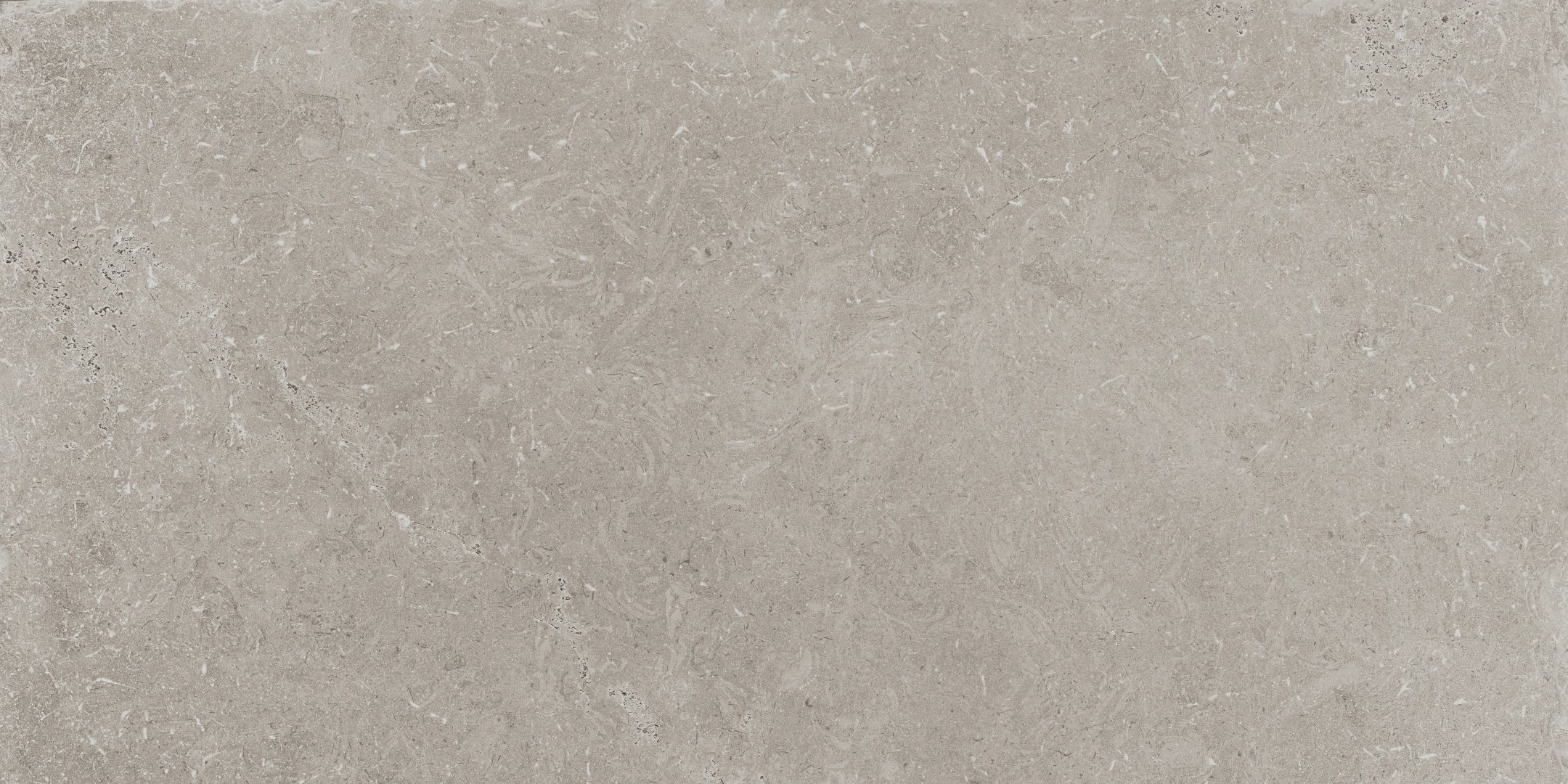 Panaria Ceramica, Prime Stone - PGHPM21 - Silver Prime, Strutturato, 45x90cm, 20.00mm, Rett.
