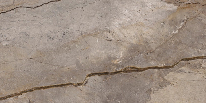 Apavisa, Wild Forest - Grey, Polished, 60x120cm, 7.00mm, Rett.